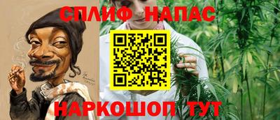СК Заводоуковск