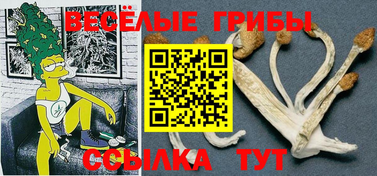 Галлюциногенные грибы Psilocybe Дагестанские Огни