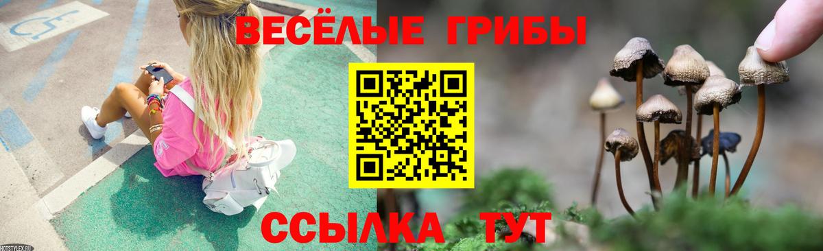 Дагестанские Огни  Псилоцибиновые грибы Cubensis  Вход с VPN 